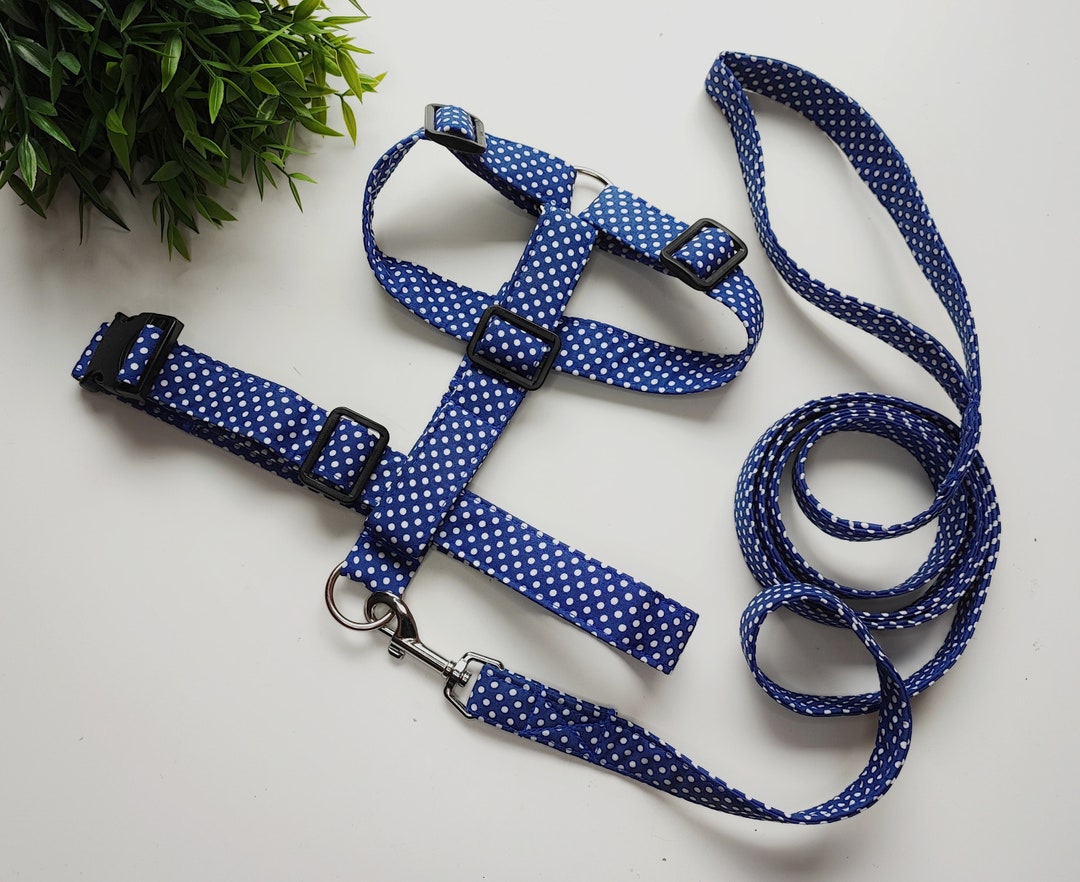 Matching Dog Harness and Leash Setdark Blue Polka Dot Male Etsy