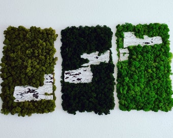 Arte de la pared de musgo. Musgo conservado. Arte de musgo. Naturaleza. Handcraft.