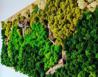 Arte de la pared de musgo. Musgo conservado. Arte de musgo. Naturaleza. Handcraft.