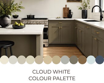 Paleta de colores Blanco Nube de Benjamin Moore / Colores coordinados / Esquema de color para toda la casa / Esquema de pintura neutro / Descarga digital