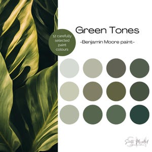 Green Tones Colour Palette Benjamin Moore Popular Paint Colours - October Mist, Hunter Green, Healing Aloe, Boreal Forest