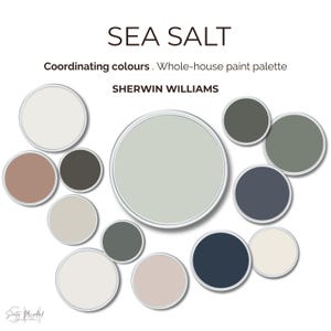 Colori coordinati Sea Salt Sherwin-Williams - Tavolozza di colori per tutta la casa - Schema di colori per interni - Guida digitale - Selezione di colori per la casa