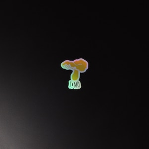 Holographic stickers