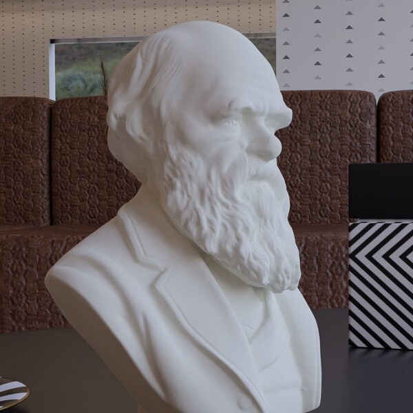 Charles Darwin Etsy