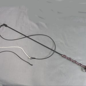 Nasty Swisher  -- A  Horsewhip  Scaled for humans.