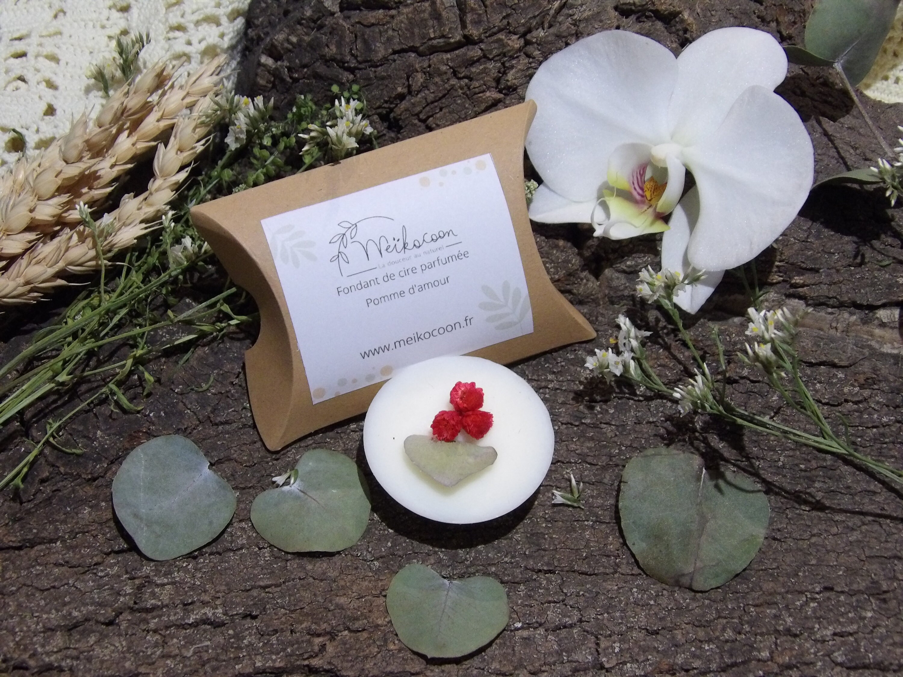 Fondant de Cire Pomme d'amour