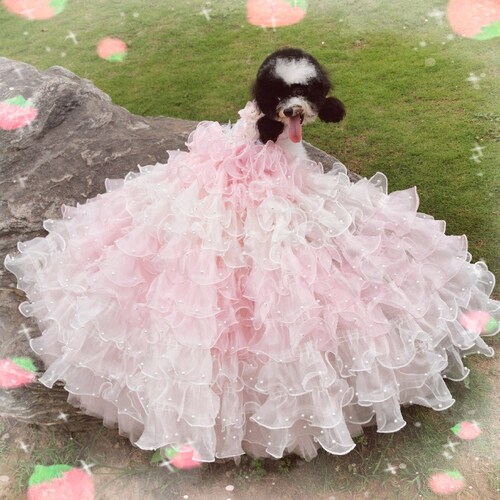 Pink Floral Dog Wedding Dress Bridesmaid Dress Fancy Dog Etsy