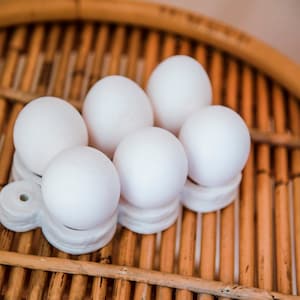Ceramic Egg Tray