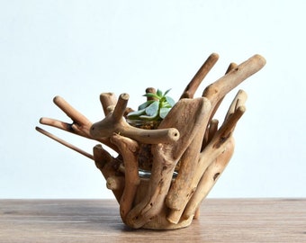 Handmade Driftwood Vase Creative Flower Pots Succulents Planters Eco Natural Wooden Home/Coffee Shop Decor