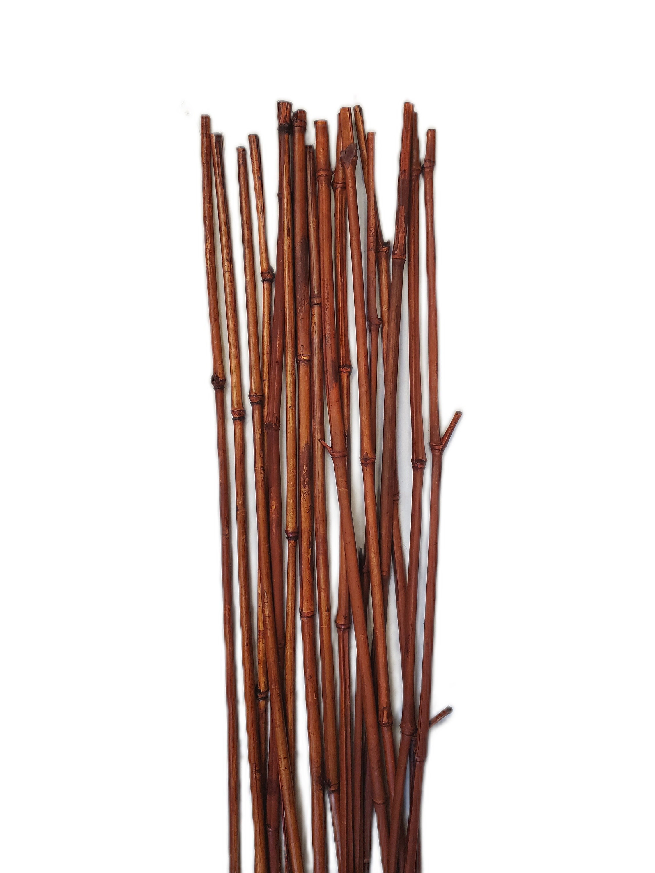 Bamboo Fencing Reed for sale Only 4 left at 75