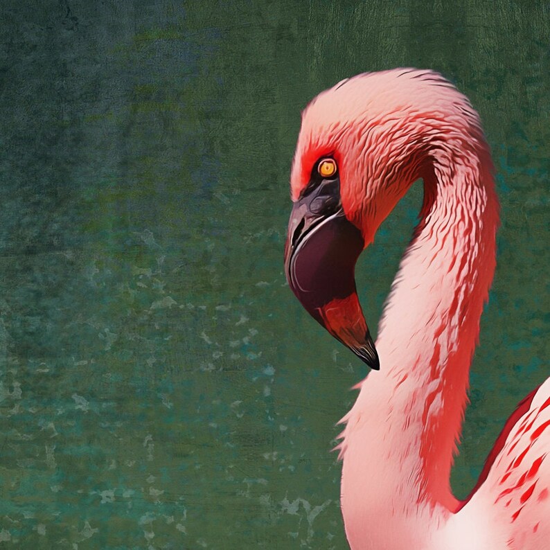 May include: A close-up of a pink flamingo's head and neck. The bird has a black beak and a yellow eye. The background is a green textured surface.