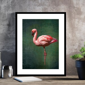 May include: A pink flamingo stands on one leg against a green background. The flamingo has a long, thin neck and a long, thin beak. The background is a textured green with a faded look.