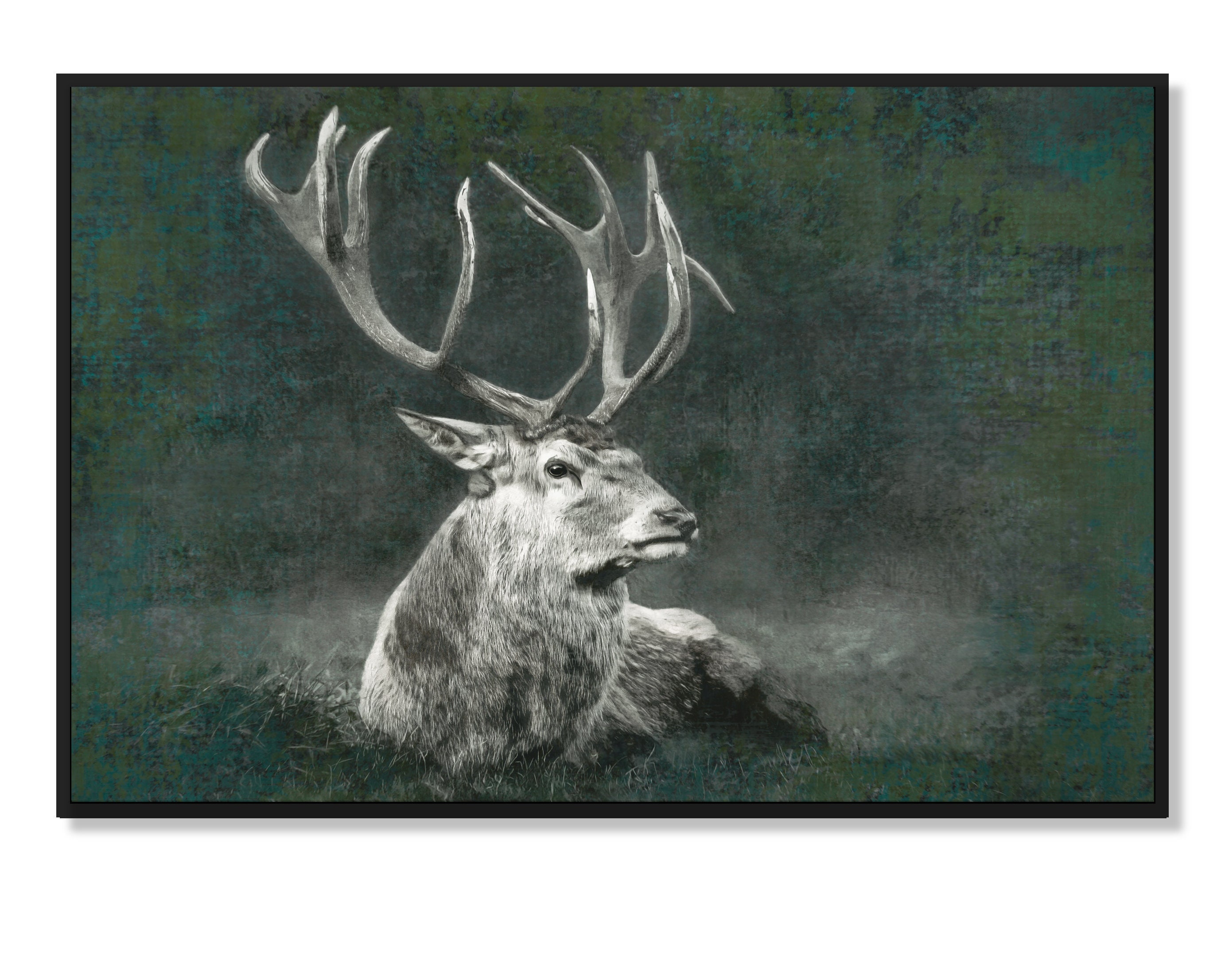 Lepidi 3 Stück Deer Drags, Zugseil, Hirsch-Schleppseil, Tragbar rutschfest Ziehgurte, Robuste rutschfest Bergehilfe Ziehgurt, Orange, 150cm, Jagd-Zubehör mit Komfortgriff für die Jagd im Freien