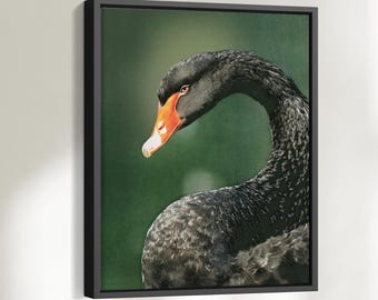 Green canvas print portrait format - Art print portrait format - Wall picture painted green - Living room picture with frame - The Black Swan - 0036