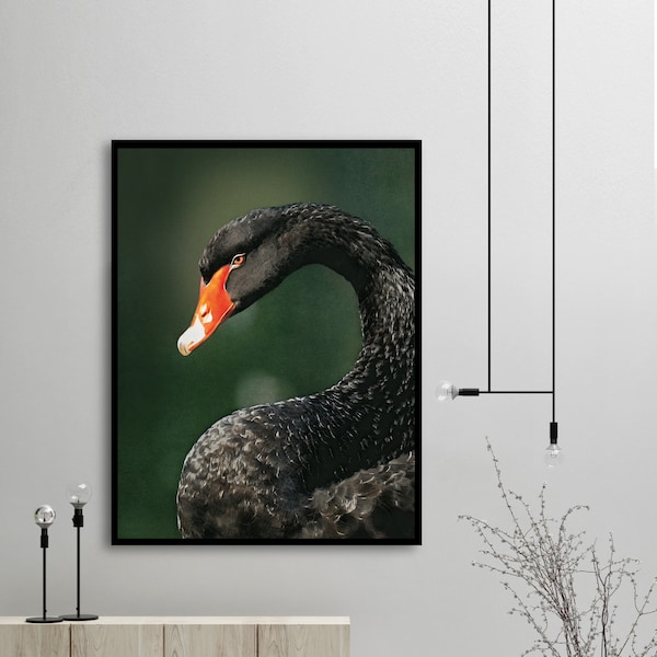 Canvas picture portrait format - large canvas - mural painted green - picture living room with frame or without - poster swan