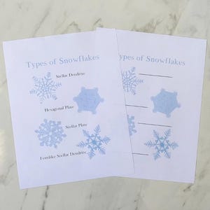 May include: A printable worksheet with illustrations of different types of snowflakes. The worksheet includes the names of each type of snowflake: Stellar Dendrite, Hexagonal Plate, Stellar Plate, and Fernlike Stellar Dendrite.