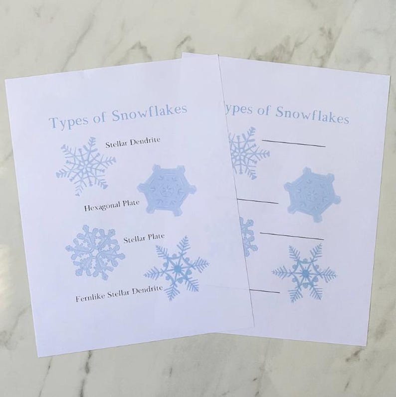 May include: A printable worksheet with illustrations of different types of snowflakes. The worksheet includes the names of each type of snowflake: Stellar Dendrite, Hexagonal Plate, Stellar Plate, and Fernlike Stellar Dendrite.