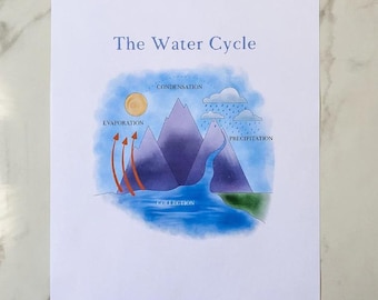 Ciclo del agua: Imprimible - Estudio de la naturaleza - Charlotte Mason - Actividad para la educación en casa - Copiar - Ciencias - Estudio de la naturaleza para niños - PDF