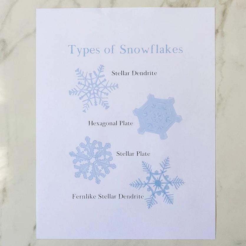 Snowflake Usage Types Types of Snowflakes Nature Study Printable - Nature Study - Charlotte ...