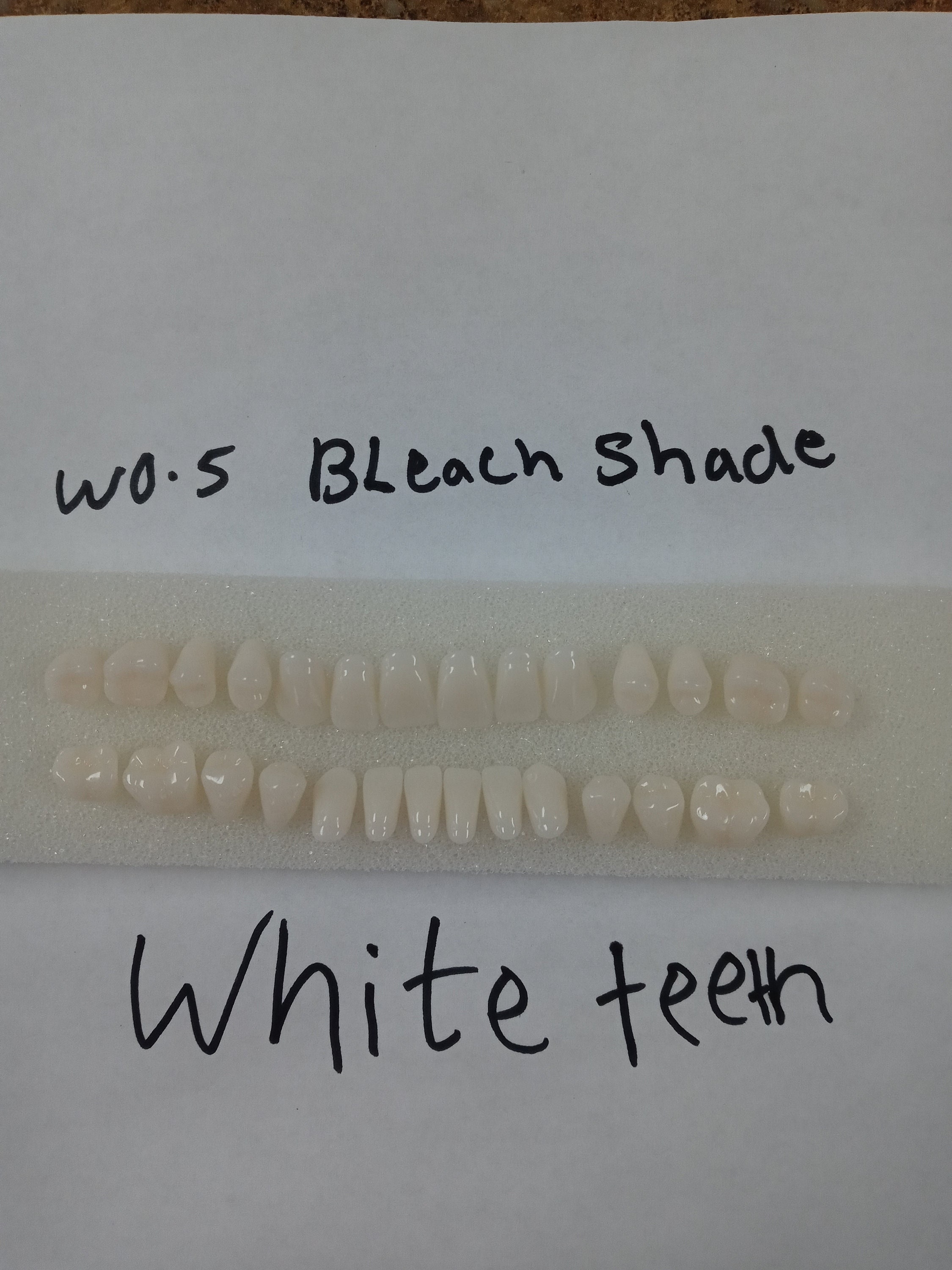 Resin Acrylic Teeth Bleach White Shade Full Set Etsy