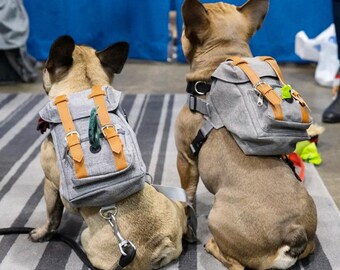 cheap automatic cat feeder