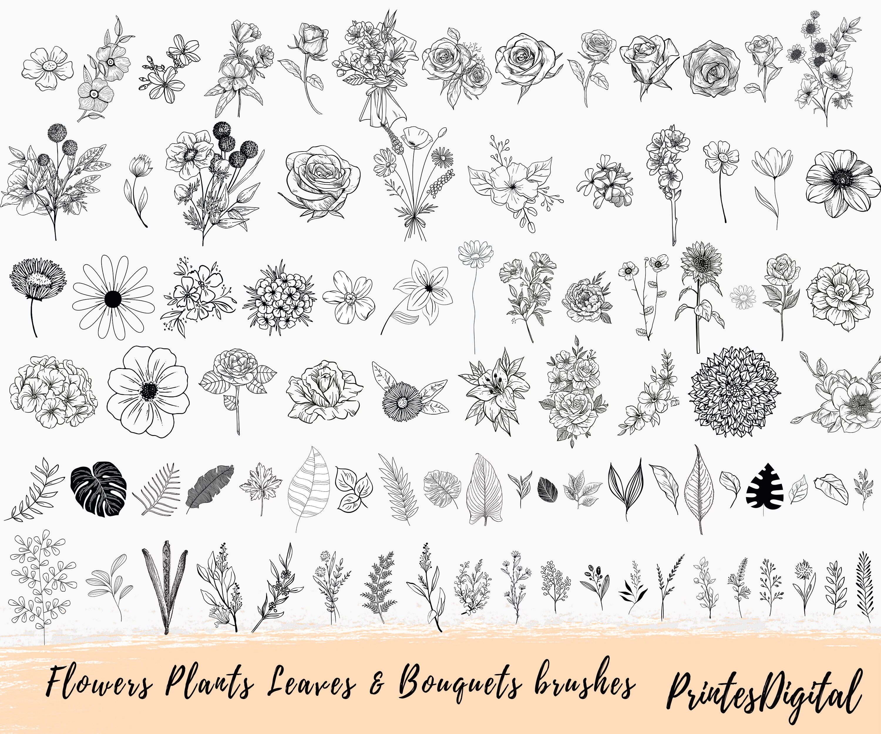 Botanical Procreate, Flowers Procreate Brushes, Rose Procreate Brushes ...