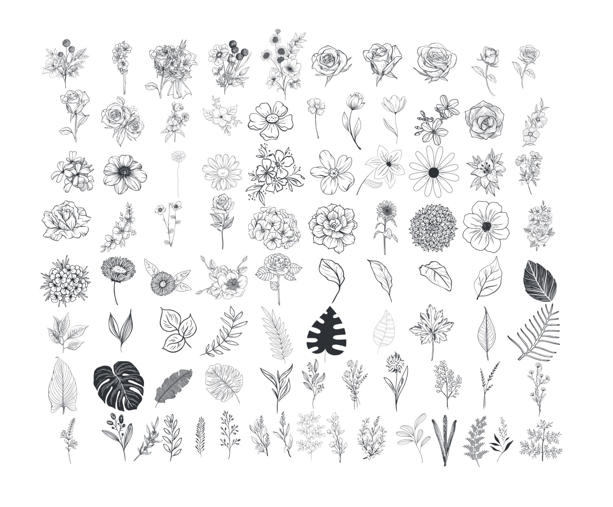 Botanical Procreate, Flowers Procreate Brushes, Rose Procreate Brushes ...