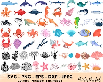 61 sea creatures svg, Fish Svg,fish png, Seagrass Corals, Turtle Jellyfish Starfish Seahorse seashell, Ocean Animals svg, under the sea svg