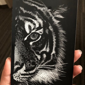 Beautiful, affordable scratchboard art print- Tiger