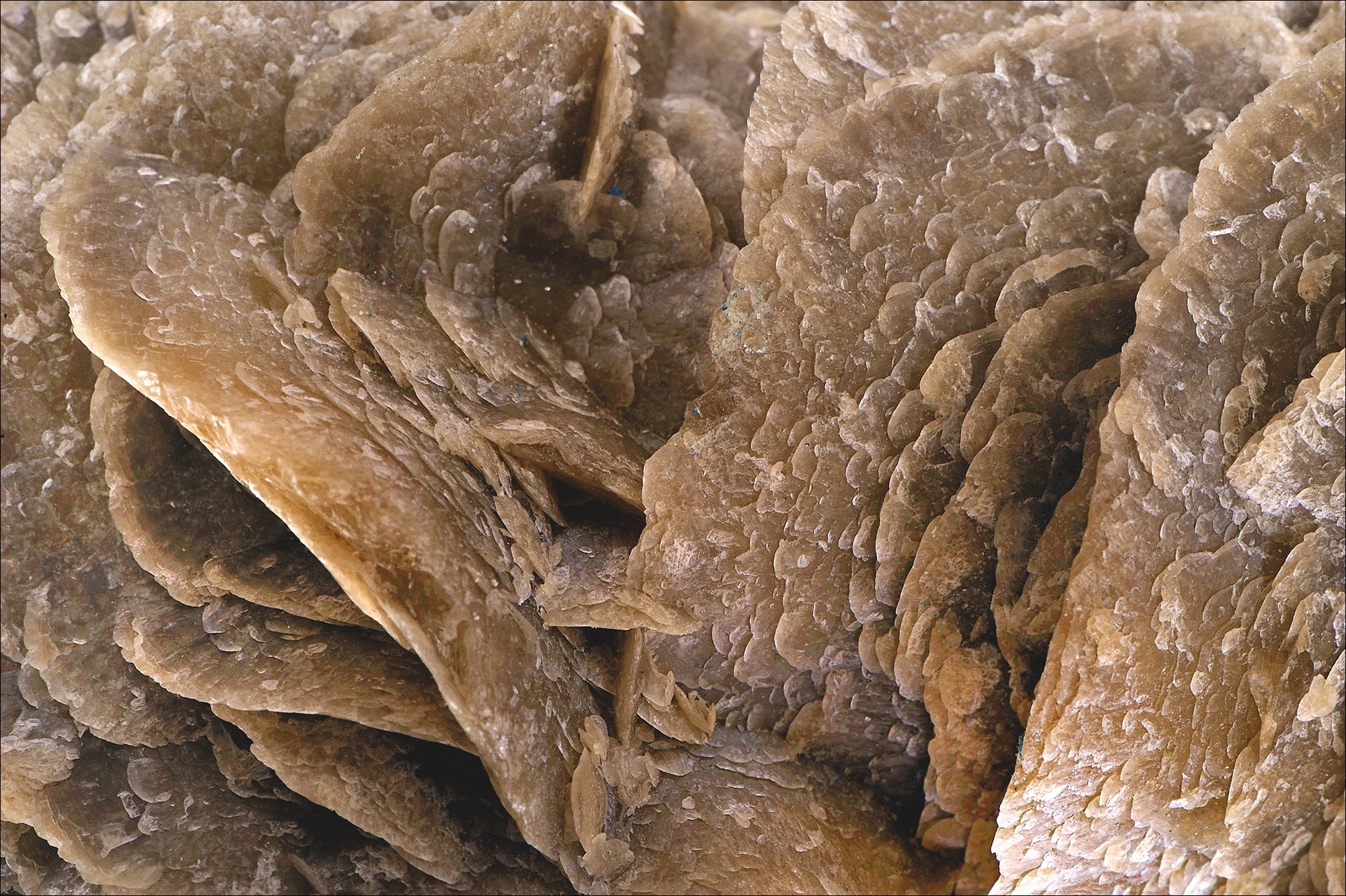 Sidérite - France Macrophotographie