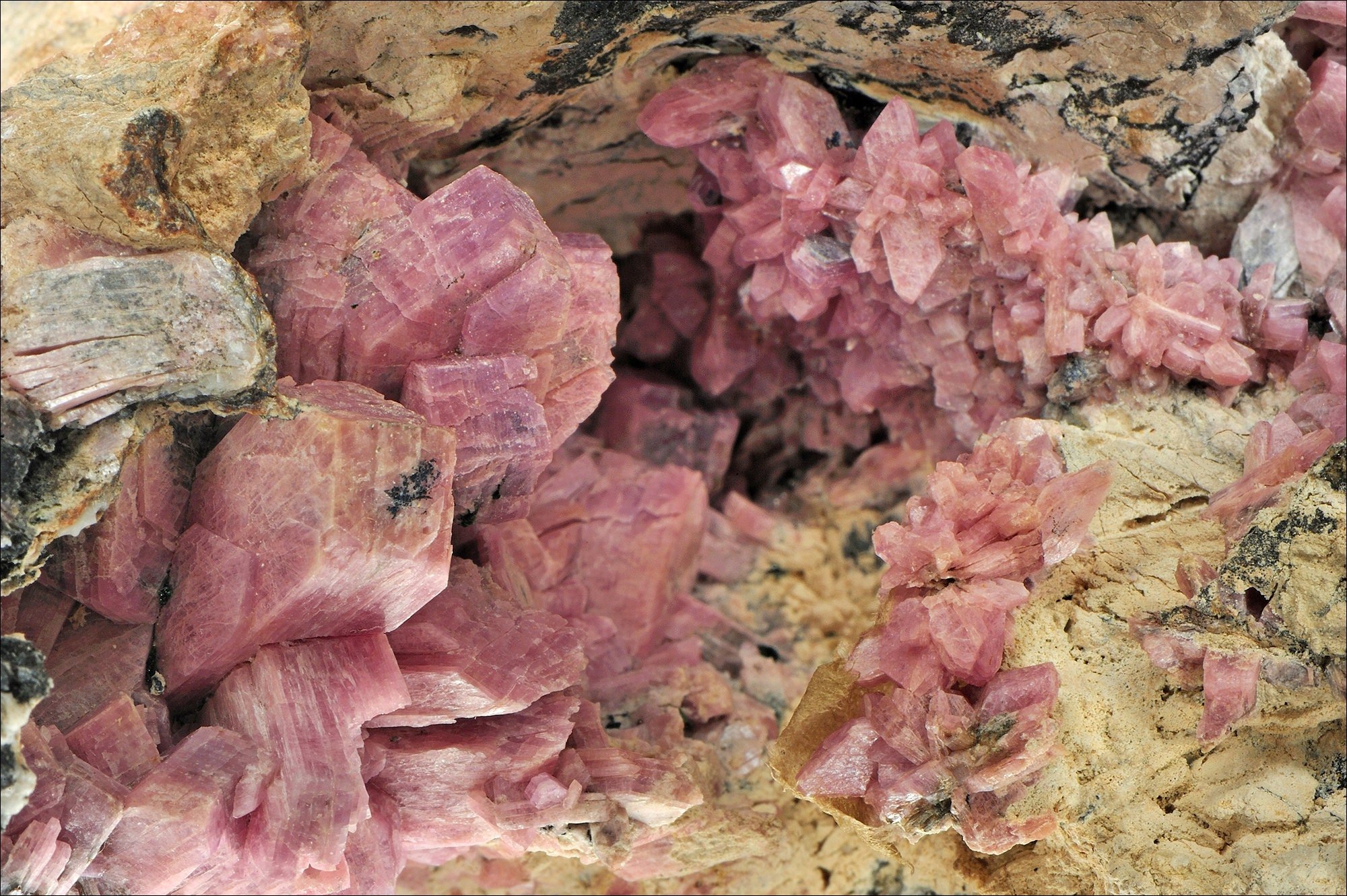 Inésite - Usa Macrophotographie