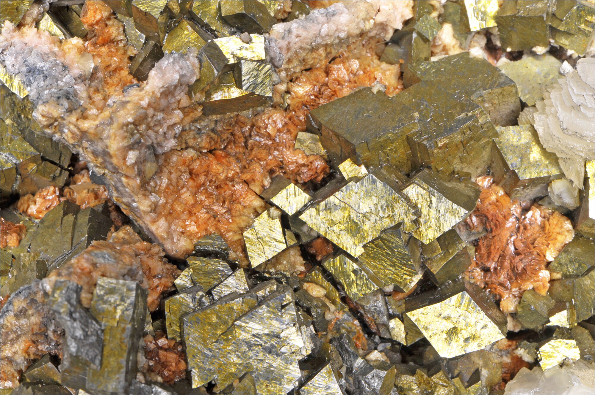 Arsénopyrite Ex-Yougoslavie - Macrophotographie