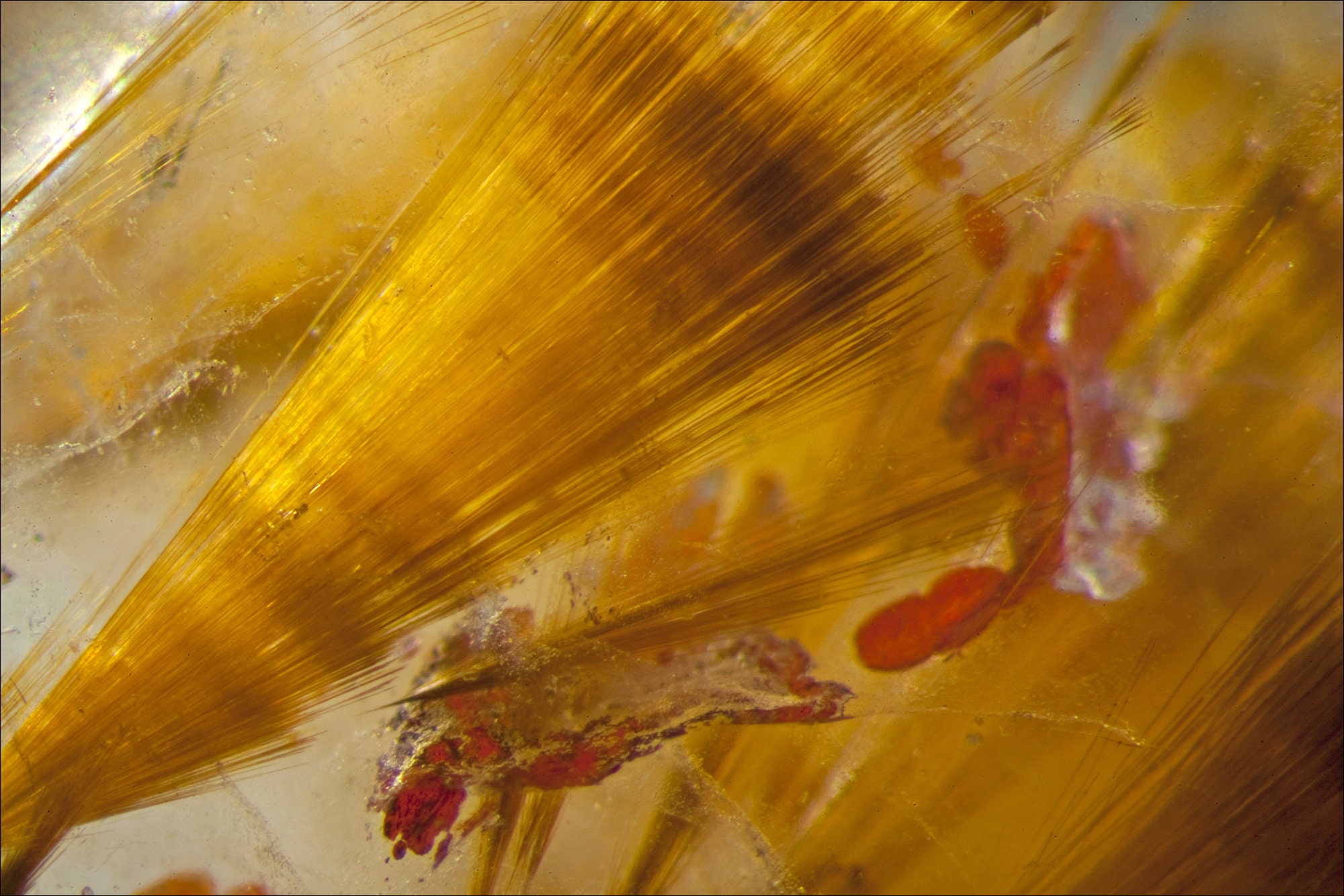 Quartz avec Inclusions - Photomicrographie