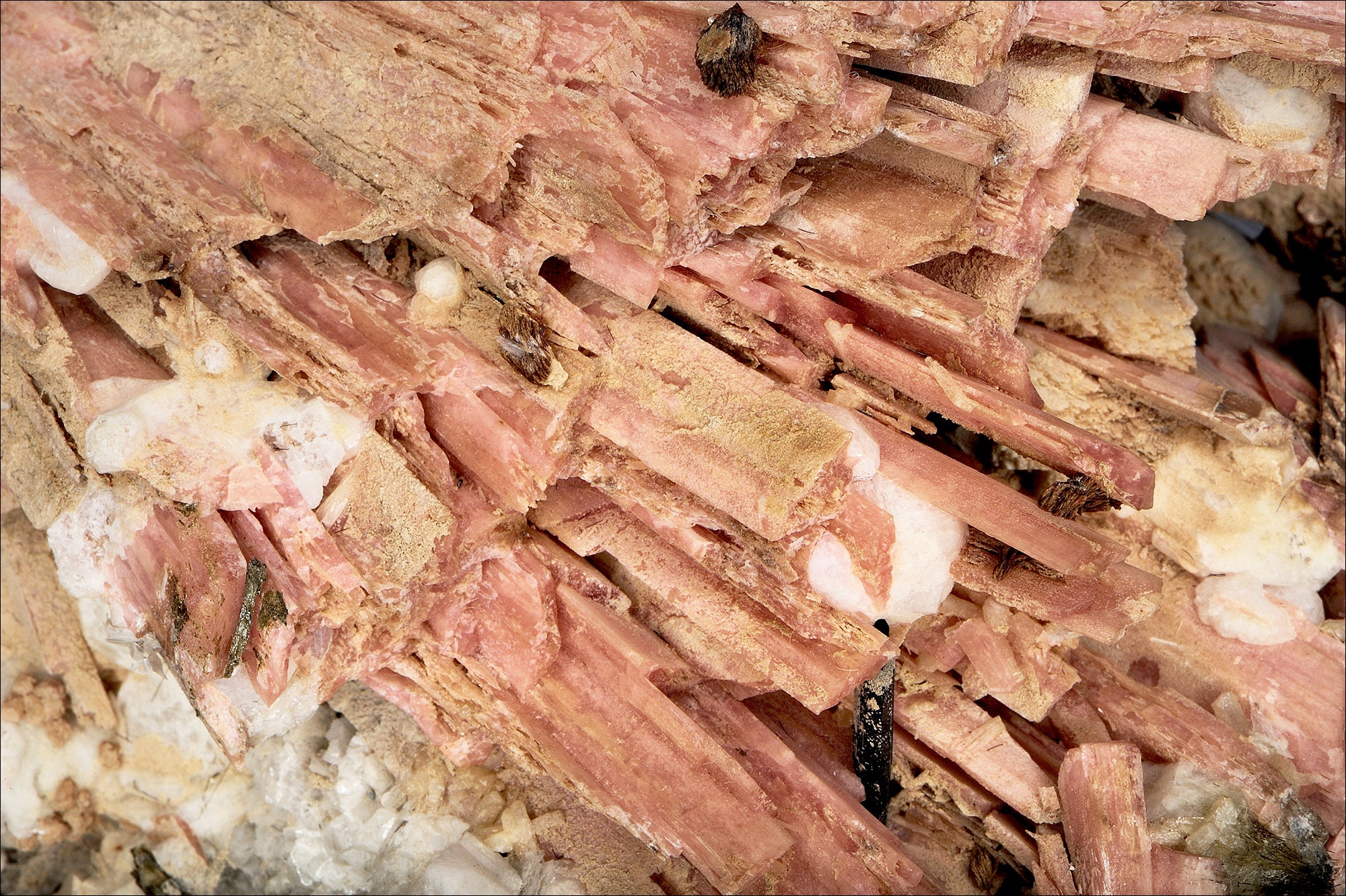 Sérandite - Canada Macrophotographie