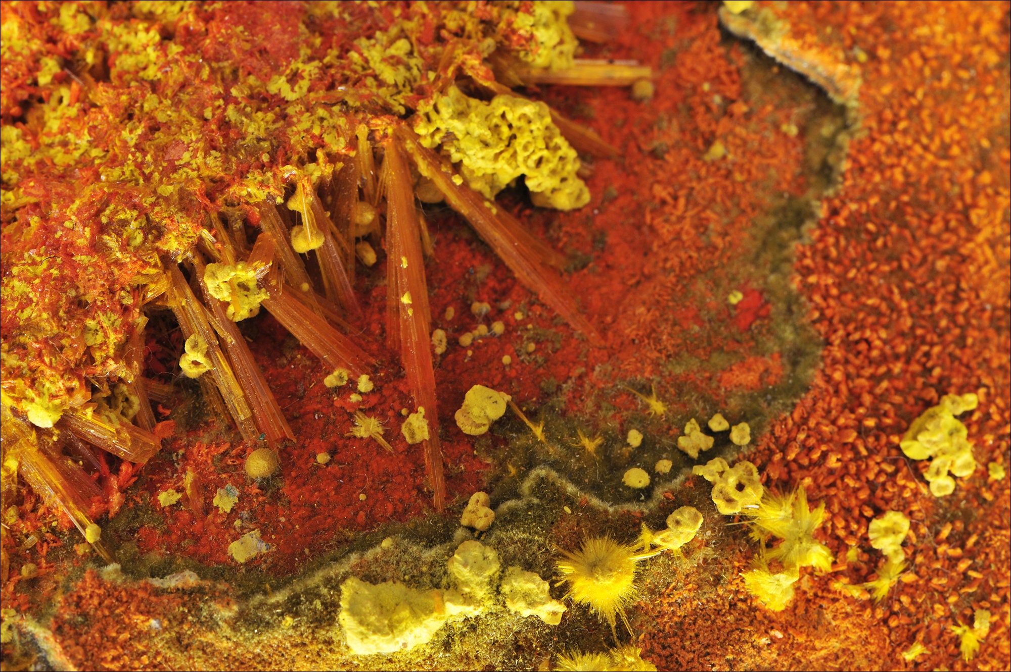 Becquerélite Congo - Macrophotographie