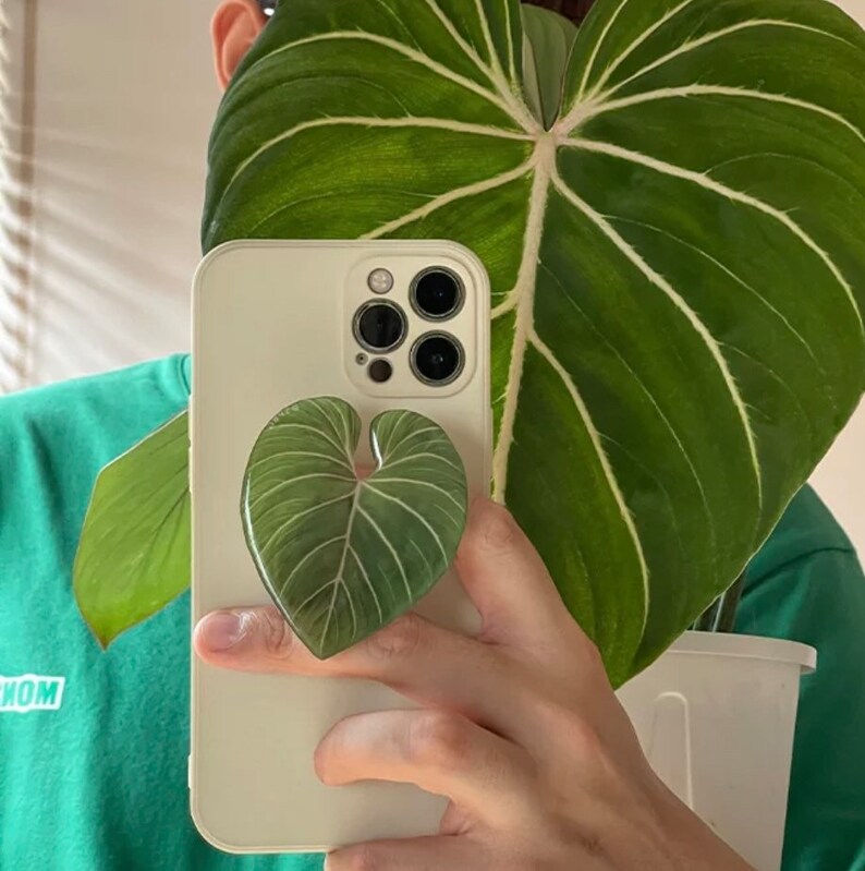 Luxury Plant Phone Grip Accessories PopSocket Plant House Zen Tropical Foliage Heart Leaf Green Life Botanical Monstera 