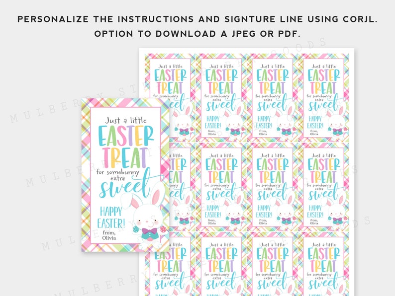 Just a Little Treat For Someone Sweet Easter Tag Printable, Instant Download Easter Treat Bag Tag, Personalize with Corjl, Easter Basket Tag image 2