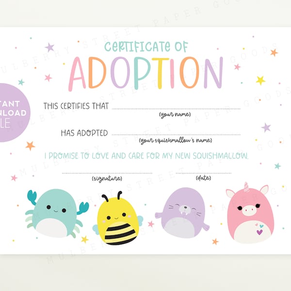 Instant Download Squishmallow Adoption Certificate Printable, Adopt a Squish Pillow Pet Certificate Printable, Squish Animal Adoption