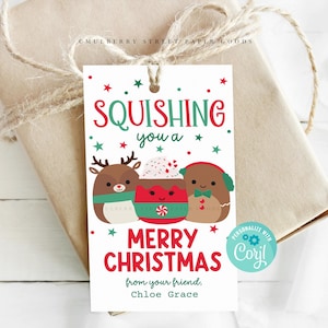 Etiqueta de regalo navideña Squish Descarga digital Regalo navideño de peluche para amigo Etiqueta colgante de recuerdo de fiesta navideña Descarga instantánea Etiqueta de regalo editable