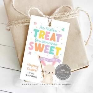 May include: A pastel-coloured Easter gift tag with the text "An Easter TREAT for someone SWEET". A cartoon bunny holds a banner reading "Hippity Hoppity!". The tag is attached to a wrapped gift with twine.