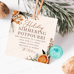 Simmer Pot Instructions Tag, Christmas Simmering  Potpourri  Gift Printable Tag, All Text Editable Holiday Client Teacher Secret Santa Corjl