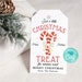 Printable Christmas Treat Gift Tag, Candy Cane Christmas Bag Tag ...
