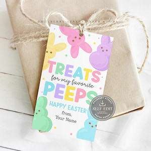 May include: A gift tag with the text "TREATS for my favorite PEEPS" and "HAPPY EASTER" with colorful bunny and chick illustrations. The tag is attached to a wrapped package with twine.