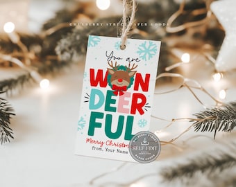 May include: A white gift tag with the words "You are WONDERFUL" in red, teal, and pink, featuring a cartoon reindeer. The tag includes the text "Merry Christmas from, Your Name" and snowflake accents. A string is attached for hanging.