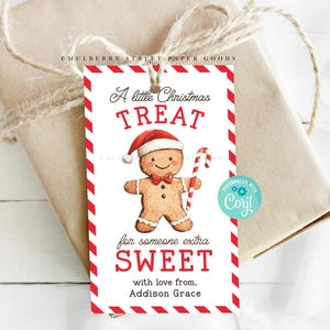 Candy Cane Christmas Gift Tag Afdrukbaar Een kleine traktatie voor iemand Extra zoete peperkoek traktatie Tag Instant Download Christmas Party Favor