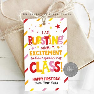May include: A white gift tag with the text "I AM BURSTING with EXCITEMENT to have you in my CLASS!" in colorful letters. The tag is decorated with stars and diagonal stripes and is tied to a brown package with twine.