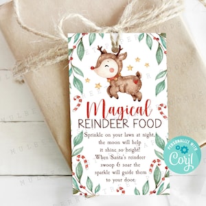 Download immediato di tag cibo magico per renne, tag istruzioni cibo per renne tradizione vigilia di Natale, tag cibo per renne stampabile