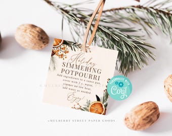 Simmer Pot Instructions Tag, Christmas Simmering  Potpourri  Gift Printable Tag, All Text Editable Holiday Client Teacher Secret Santa Corjl