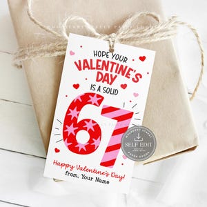 Peut inclure: Une étiquette de cadeau de Saint-Valentin avec le message "Hope Your Valentine's Day Is A Solid 67". L'étiquette est rouge et rose avec des cœurs et des étoiles, attachée à un cadeau emballé avec de la ficelle.