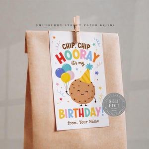 Op de afbeelding: Een bruine papieren zak met een verjaardagscadeaulabel. Het label toont een cartoonkoekjespersonage met ballonnen en een feesthoed. Tekst op het label luidt "Chip, Chip Hooray it's my Birthday!" en "from, Your Name."